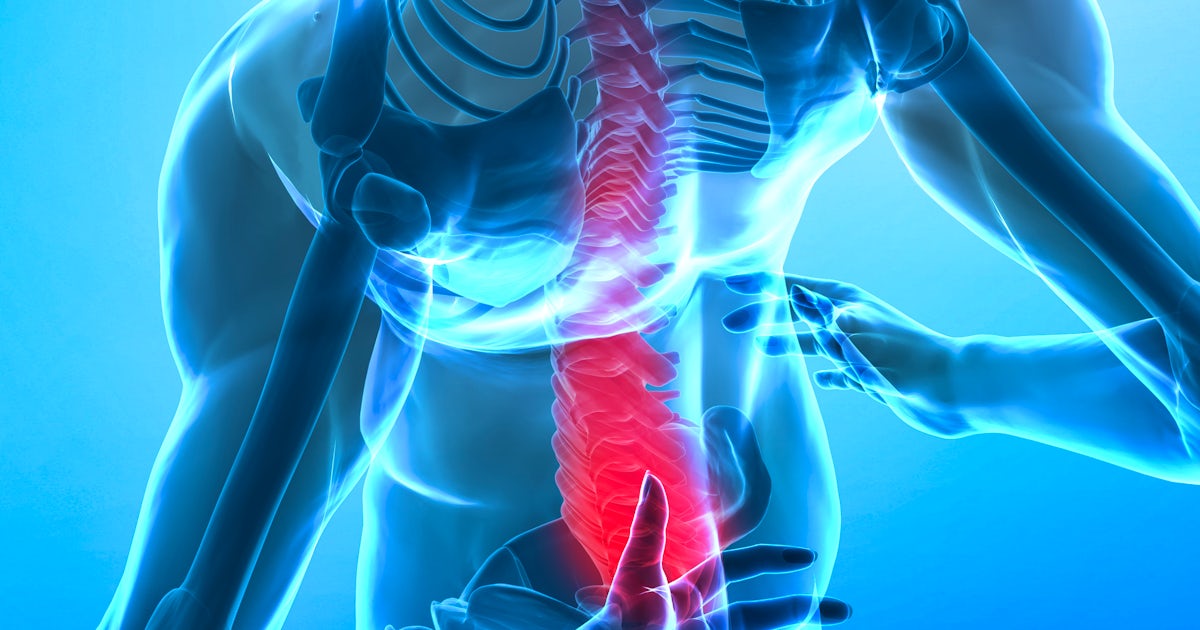 illustration of human skeleton with lower vertebrae highlighted
